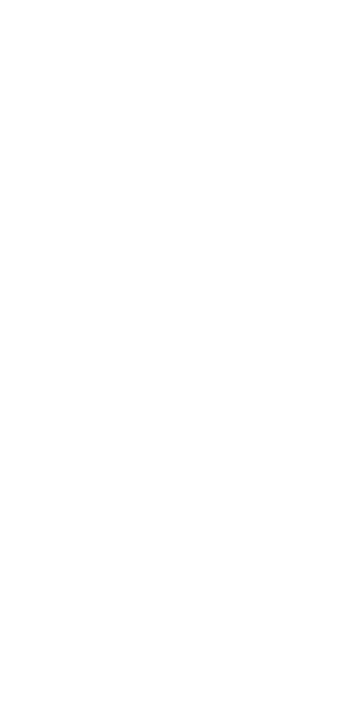 sollus-logo-icon